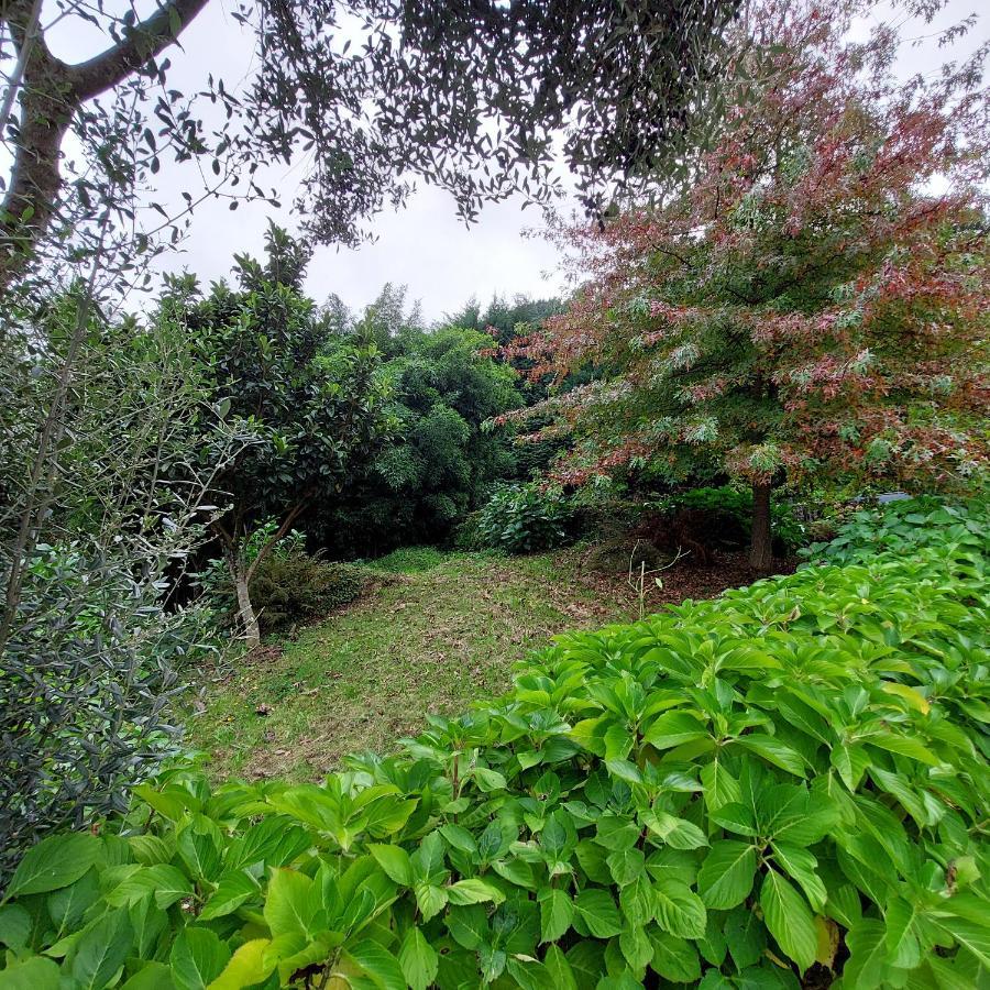 Casa Do Penedo - Quinta De Fundevilla Geres Esterno foto